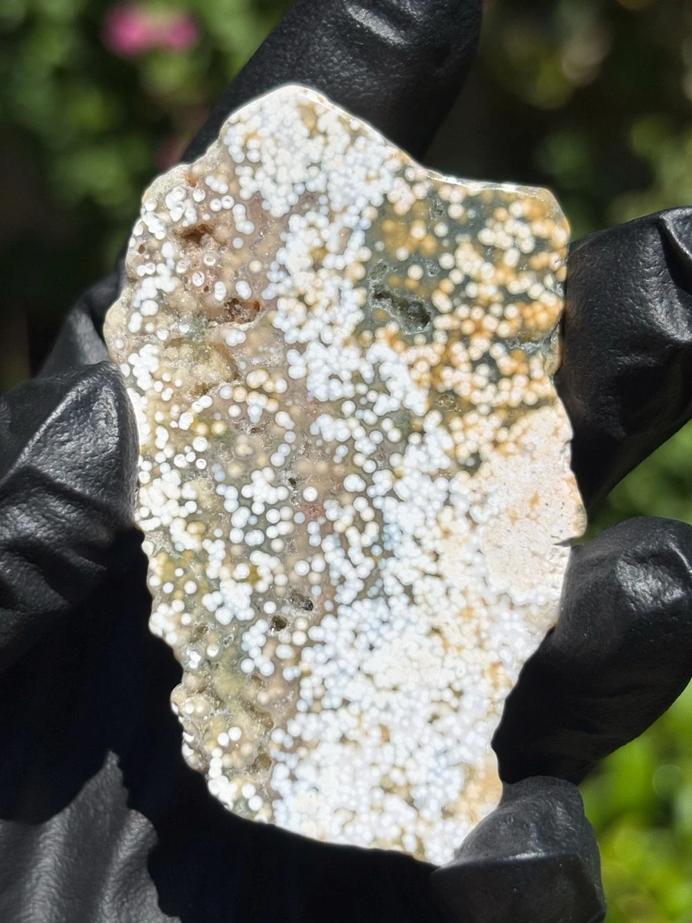 Ocean Jasper Druzy Crystal Slab - Orbicular Jasper - Polished Sea Jasper
